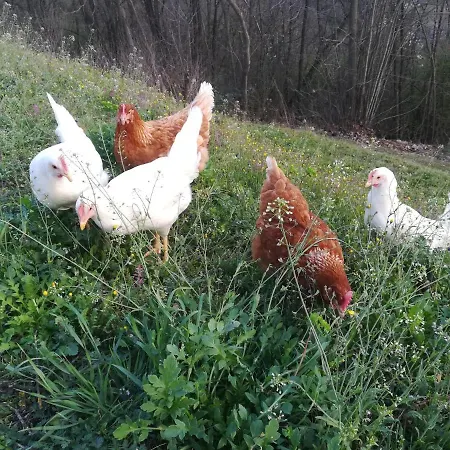 Ca Nostra Restaurant Kır Evi Portacomaro
