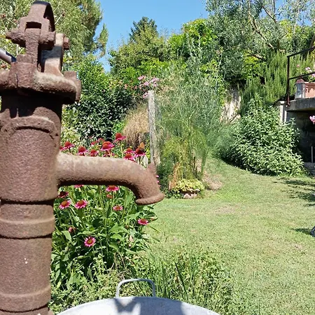 Kır Evi Ca Nostra Restaurant