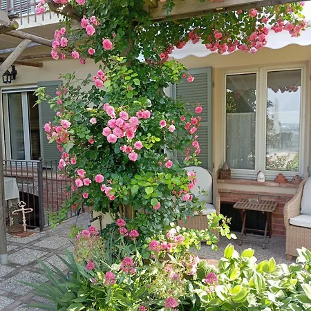 Ca Nostra Restaurant Portacomaro