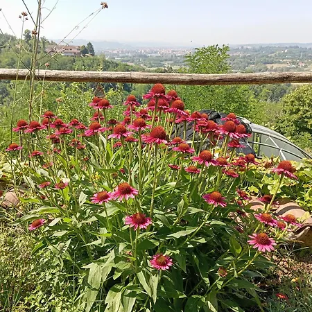 Ca Nostra Restaurant