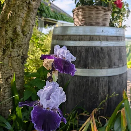 Ca Nostra Restaurant Kır Evi Portacomaro