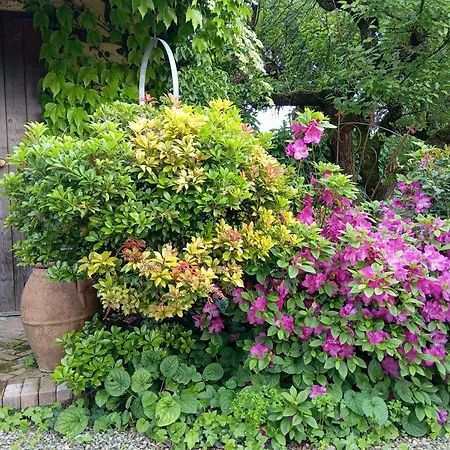 Ca Nostra Restaurant