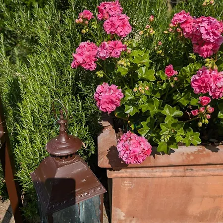 Kır Evi Ca Nostra Restaurant