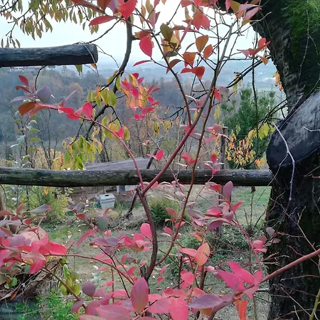 Ca Nostra Restaurant Kır Evi Portacomaro