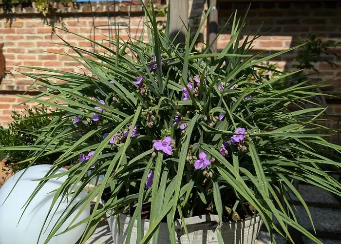 Ca Nostra Restaurant Venkovský dům