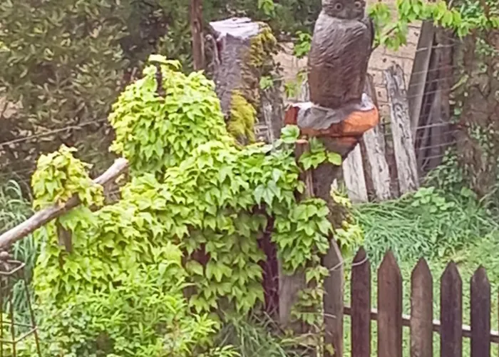 Ca Nostra Restaurant Portacomaro